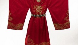 龙袍最新爆料视频大全,最新爆料视频大全深度解析